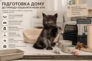 Підготовка дому до приїзду кошеняти Мейн Кун — необхідні речі для комфортної адаптації кошеняти Arinecoons у новому домі