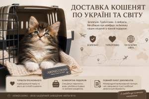 Мейн кун кошеня Arinecoons у переносці під час безпечної доставки по Україні та світу